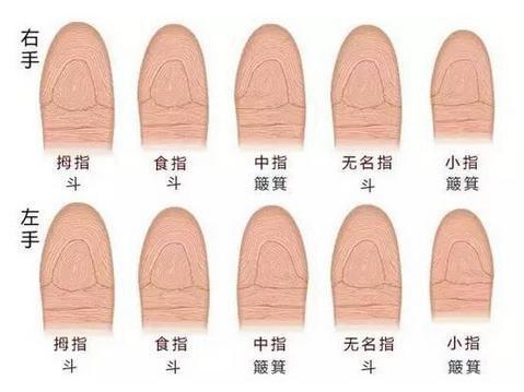 九斗一簸箕的男人命运怎么样