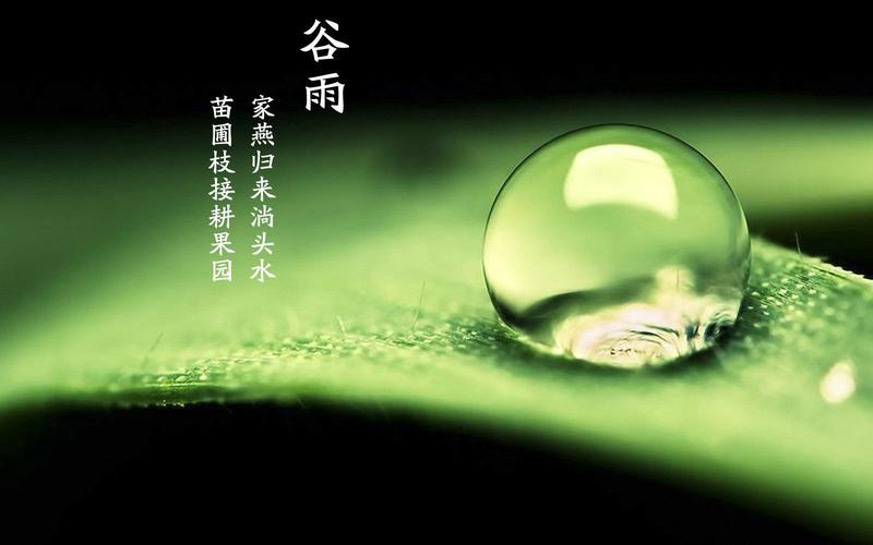 八字算命2021年谷雨出生的宝宝好吗