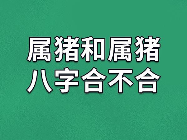 属猪的人和属什么的不合