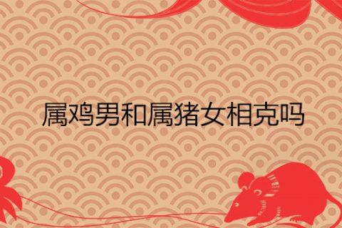 属鸡和属鼠的婚姻配吗