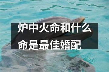 炉中火命和炉中火命在一起幸福吗