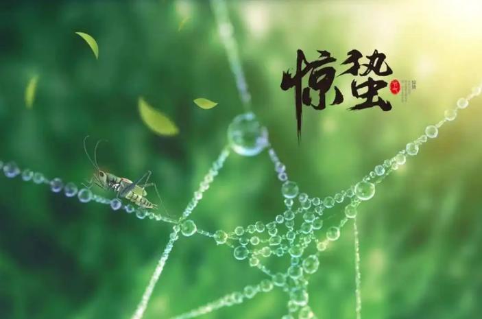 属牛2022适合绿色吗