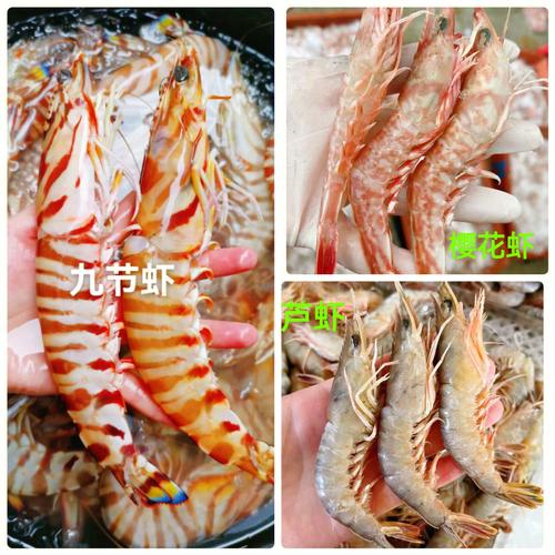 梦见鱼马 梦见马头鱼