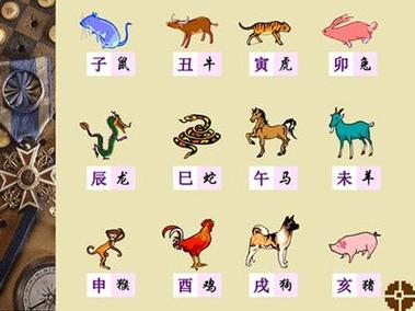 脾气好特别会照顾家里人的四大生肖男
