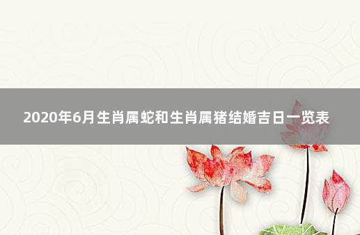 属蛇人和属猪人2020年适合结婚吗?属蛇人和什么生肖相配?