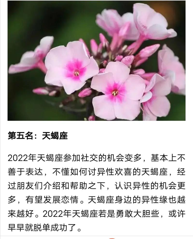 2022追求者多的星座女