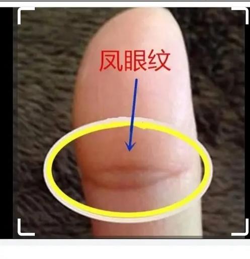 大拇指有夫子眼手相如何