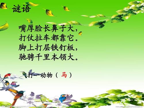 关于马的谜语