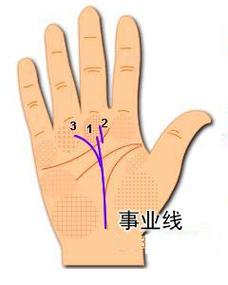 女人左手有事业线代表什么