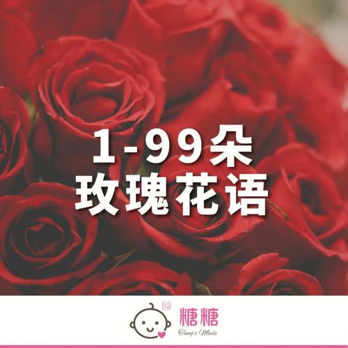 36朵玫瑰花语:送36朵玫瑰代表什么?