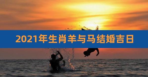 属马的和属羊2021年结婚好不好