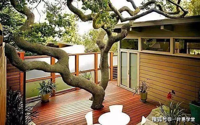 合理性,确保庭院种树风水正常