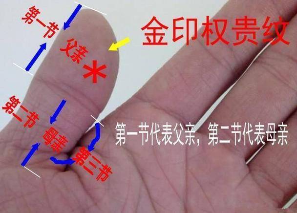 拇指纹路能看透你的另一半