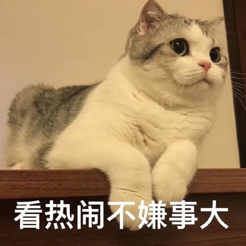 看热闹不嫌事大