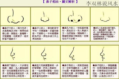 富贵鼻子分几种类型图片