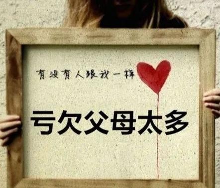 属兔人最亏欠父母的是什么
