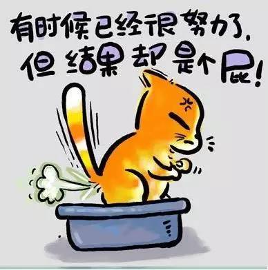 属鼠说过的最有哲理的一句话