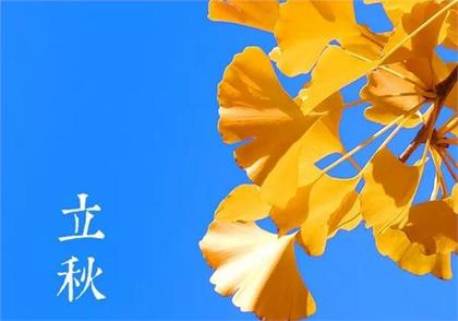 立秋桃花旺盛的生肖