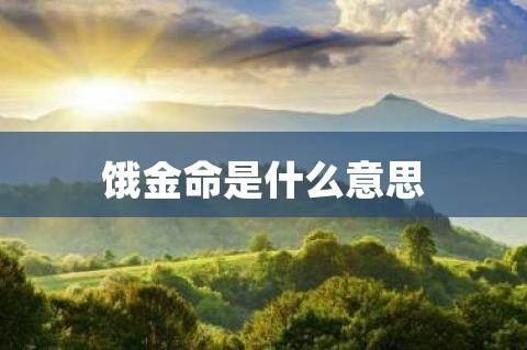 饿金命该注意什么