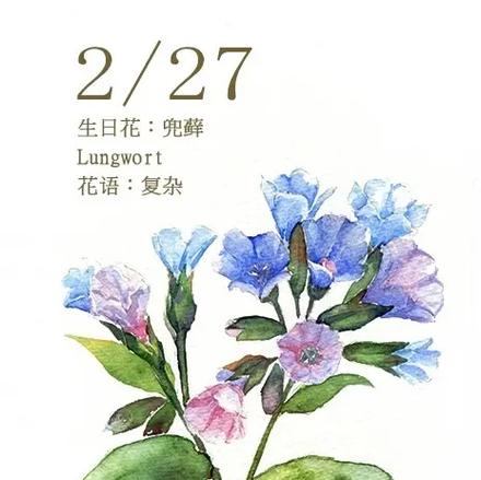 2月27日生日花语:兜藓,2月27日是什么星座?
