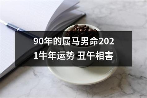 90年的属马男命2021牛年运势