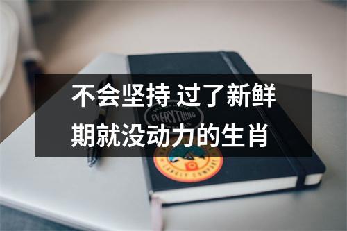 不会坚持 过了新鲜期就没动力的生肖