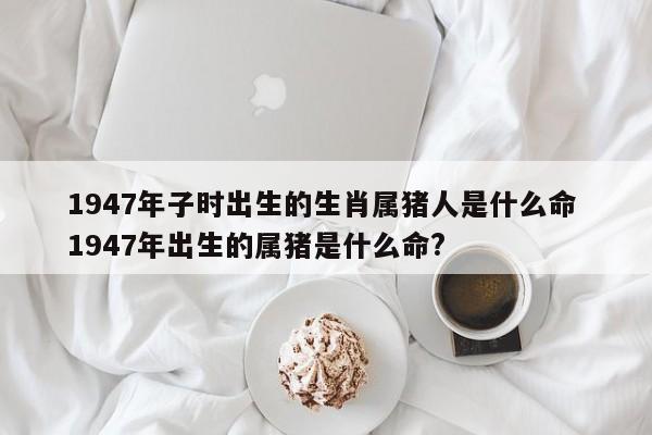 1947年属猪的是什么命,47年出生的猪五行属什么