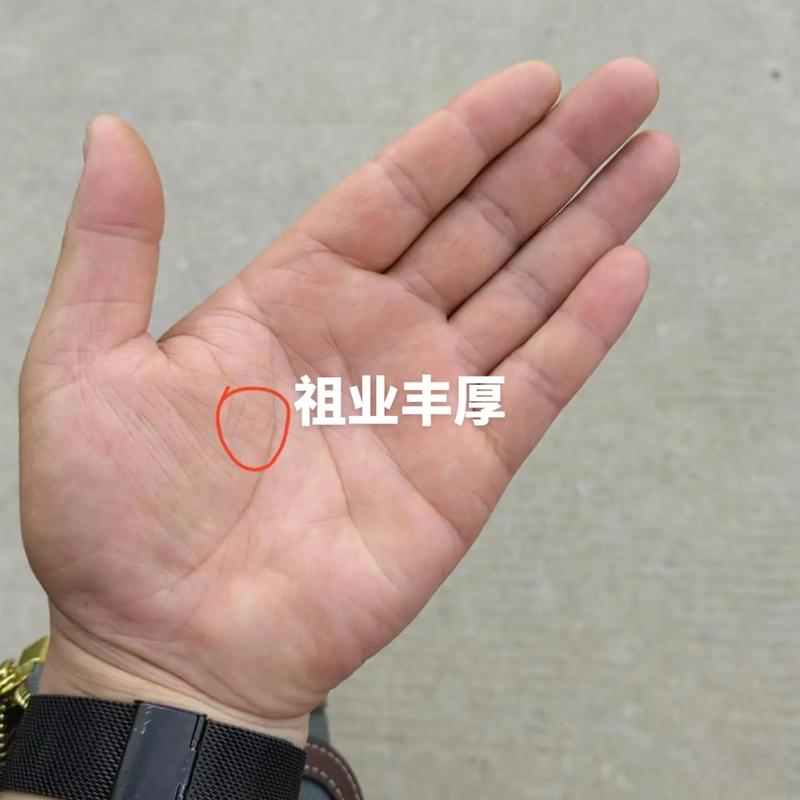 富贵手相图片解析