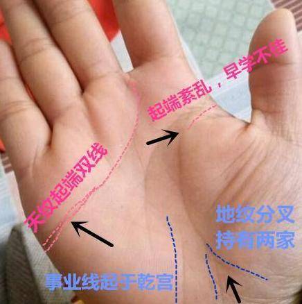 为人奸诈心不正手相特征