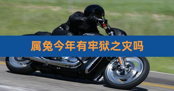 属兔2021年会经历牢狱之灾吗