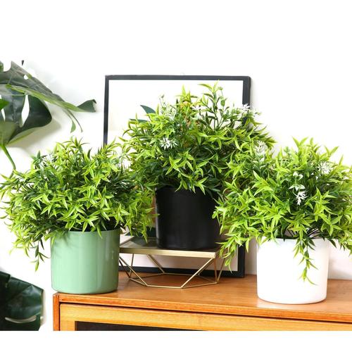 小心 卧室别摆这几盆花了