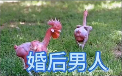 婚前婚后的区别很大的男人