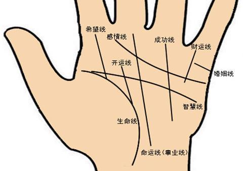 八字看事业:事业狂的命理特征