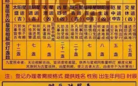 2009年出生是什么命
