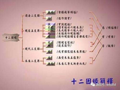 十二因缘法讲解