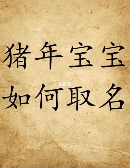 边姓猪年女宝宝名字