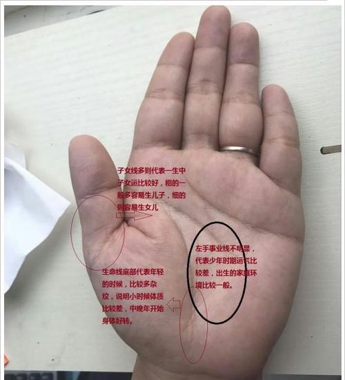 这些生肖的人生比较圆满,左手事业,右手家庭