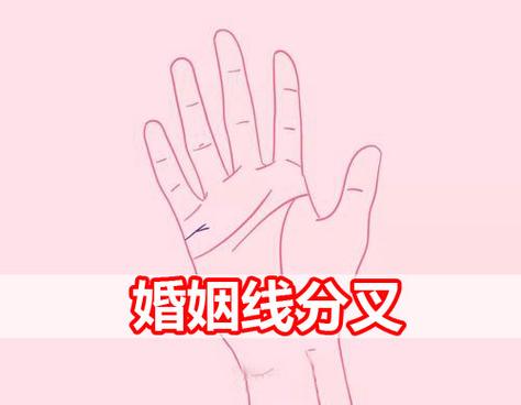 命运线分叉预示着婚姻不幸福吗