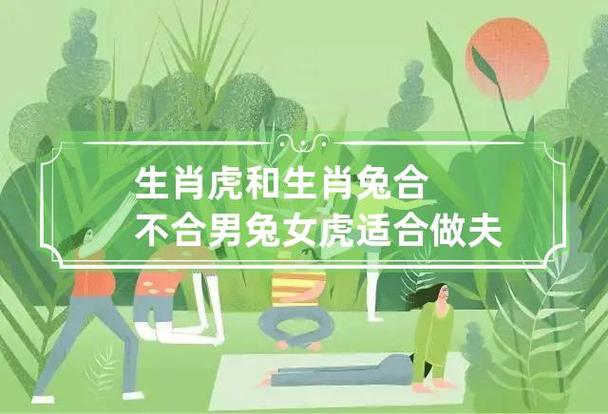 老虎跟兔子的属相合不合