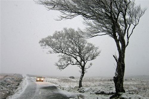 解梦：梦见下雪开车意味着什么？