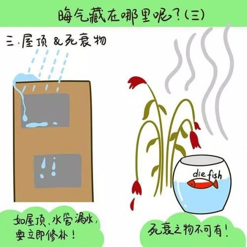 这些地方如果渗水的话家里的运气会变差