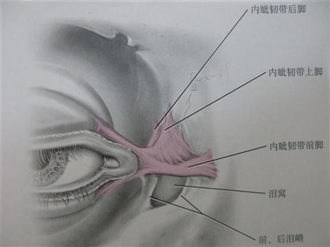 泪窝浅命运如何