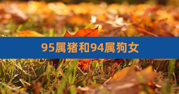 95属猪和94属狗女