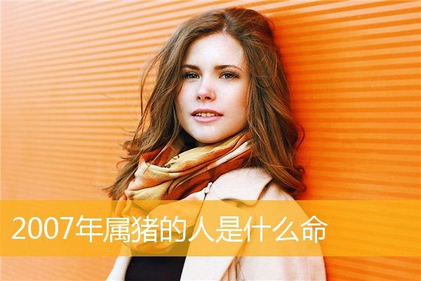 2007年是什么命 命运好不好