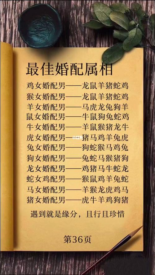 12属相的爱情情结
