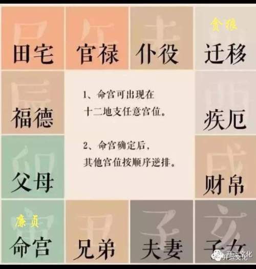 寡宿在田宅宫是什么意思