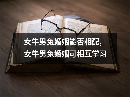 牛和兔相配婚姻如何