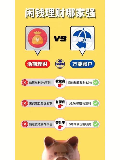 属龙会把闲钱如何进行理财