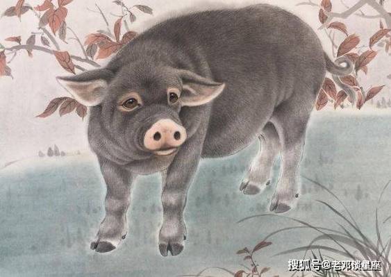 8月中旬开门,财富暴涨,加上了吉星生肖