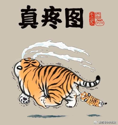 生肖虎情绪暴走之后会发生什么